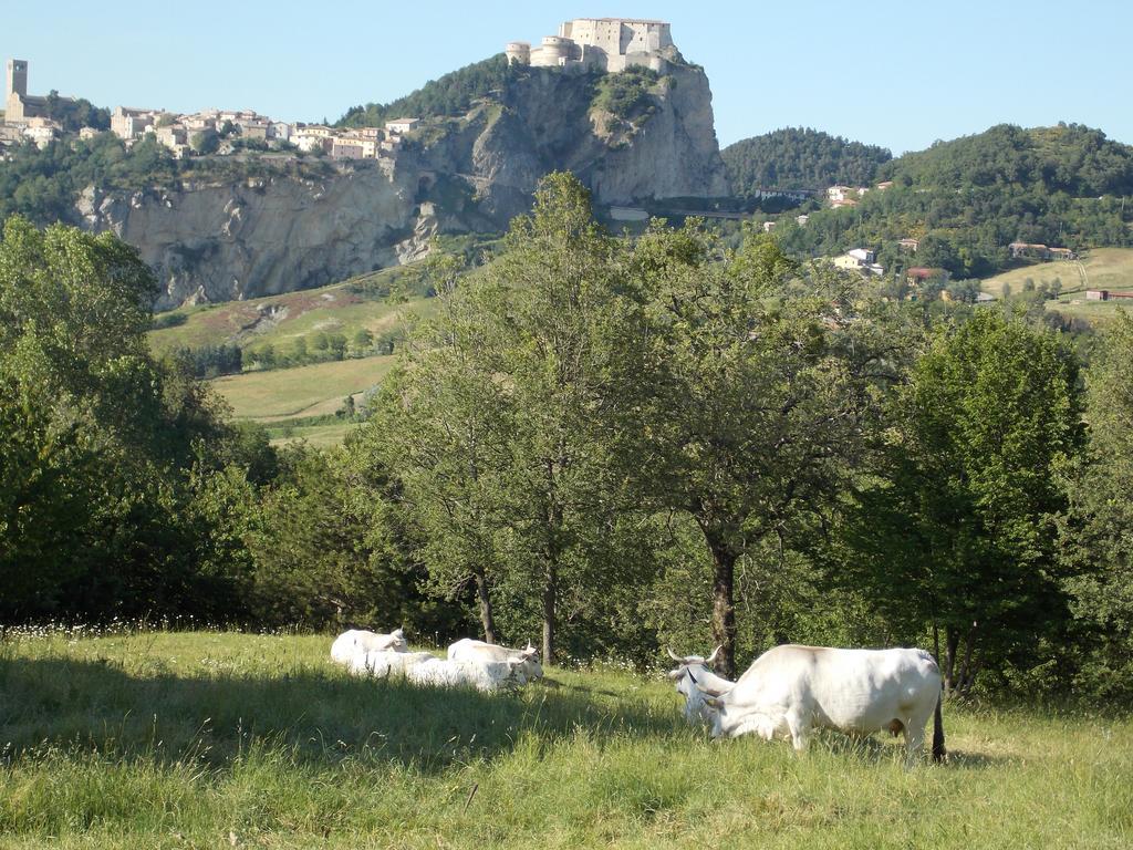Osteria Belvedere San Leo Buitenkant foto